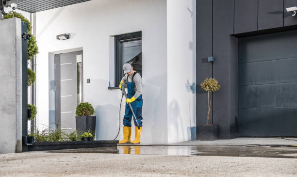 Best Building Exterior Washing  in Selma, NC